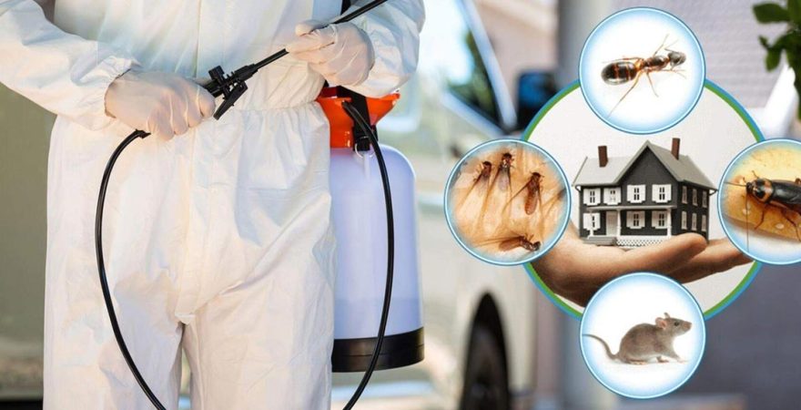 Palandöken Böcek İlaçlama