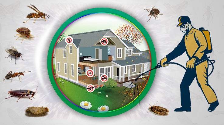 Palandöken Böcek İlaçlama