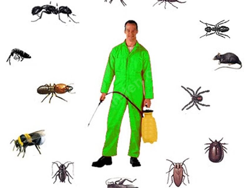 Palandöken Böcek İlaçlama